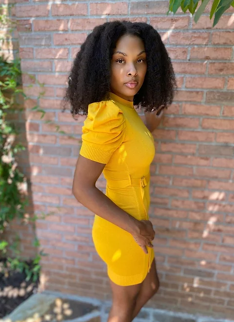 Puff Sleeve Mini Dress